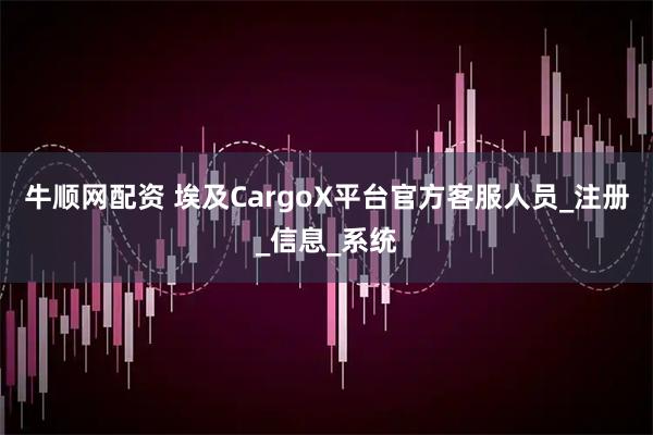 牛顺网配资 埃及CargoX平台官方客服人员_注册_信息_系统